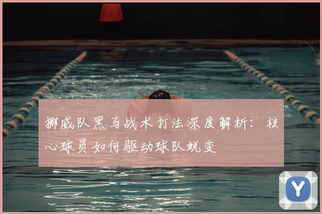 挪威队黑马战术打法深度解析：核心球员如何驱动球队蜕变